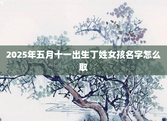 2025年五月十一出生丁姓女孩名字怎么取