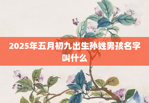 2025年五月初九出生孙姓男孩名字叫什么