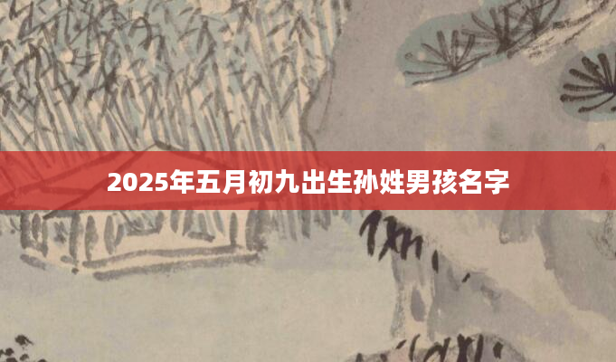 2025年五月初九出生孙姓男孩名字