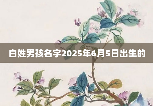 白姓男孩名字2025年6月5日出生的