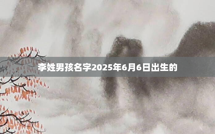 李姓男孩名字2025年6月6日出生的