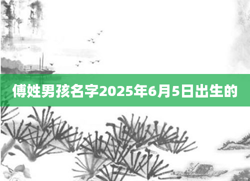 傅姓男孩名字2025年6月5日出生的