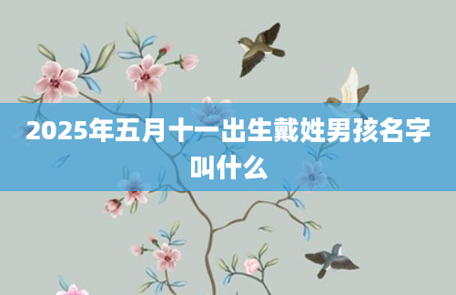 2025年五月十一出生戴姓男孩名字叫什么