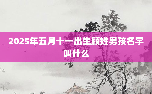 2025年五月十一出生顾姓男孩名字叫什么