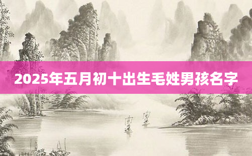 2025年五月初十出生毛姓男孩名字