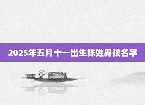 2025年五月十一出生陈姓男孩名字