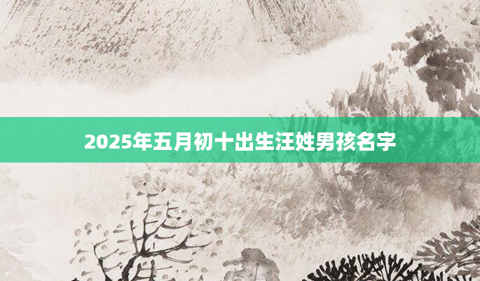 2025年五月初十出生汪姓男孩名字