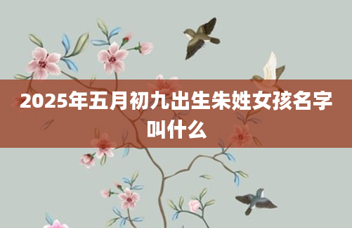 2025年五月初九出生朱姓女孩名字叫什么