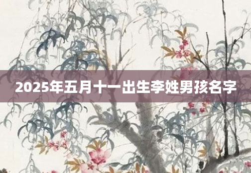 2025年五月十一出生李姓男孩名字
