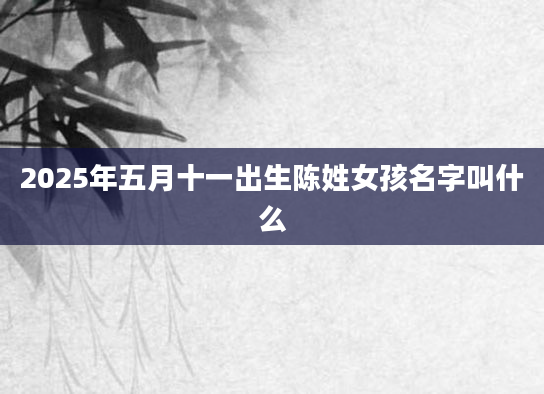 2025年五月十一出生陈姓女孩名字叫什么