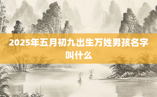 2025年五月初九出生万姓男孩名字叫什么