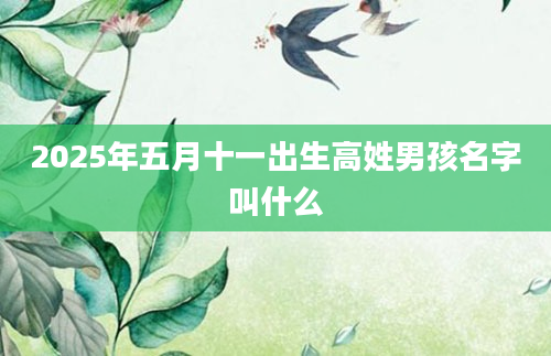 2025年五月十一出生高姓男孩名字叫什么