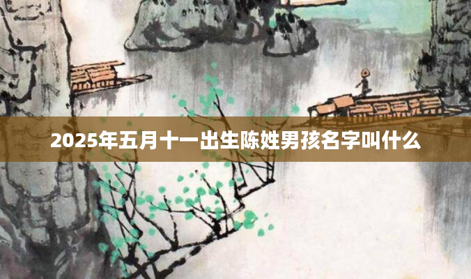 2025年五月十一出生陈姓男孩名字叫什么