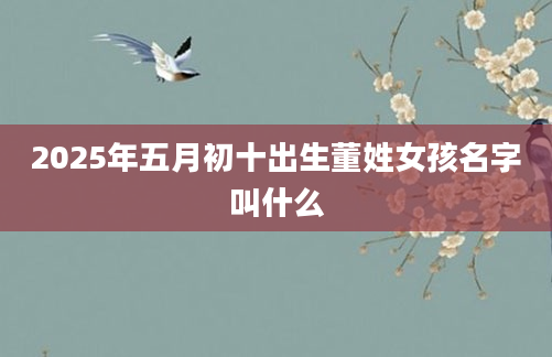 2025年五月初十出生董姓女孩名字叫什么