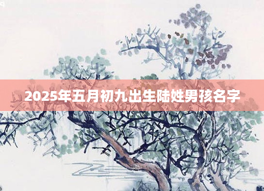 2025年五月初九出生陆姓男孩名字