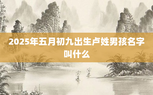 2025年五月初九出生卢姓男孩名字叫什么