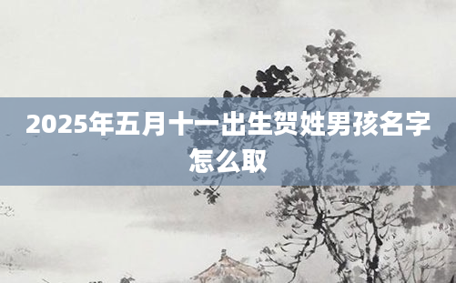 2025年五月十一出生贺姓男孩名字怎么取