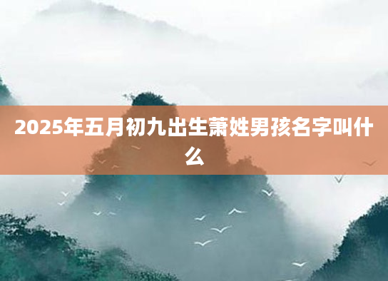2025年五月初九出生萧姓男孩名字叫什么