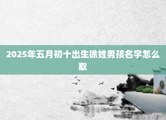 2025年五月初十出生徐姓男孩名字怎么取