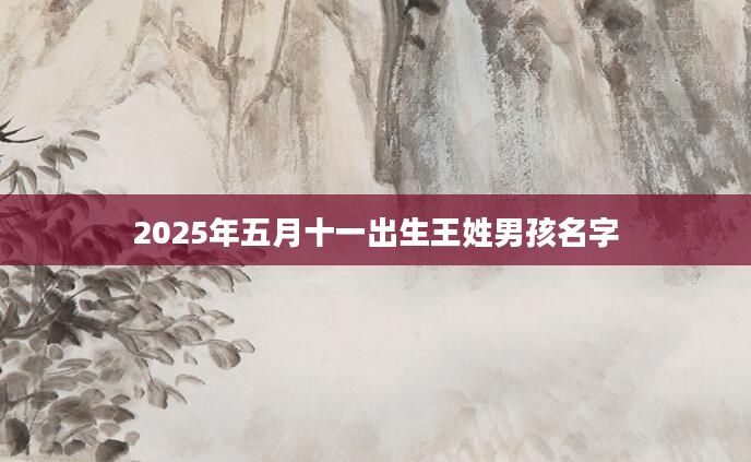 2025年五月十一出生王姓男孩名字