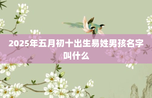 2025年五月初十出生易姓男孩名字叫什么