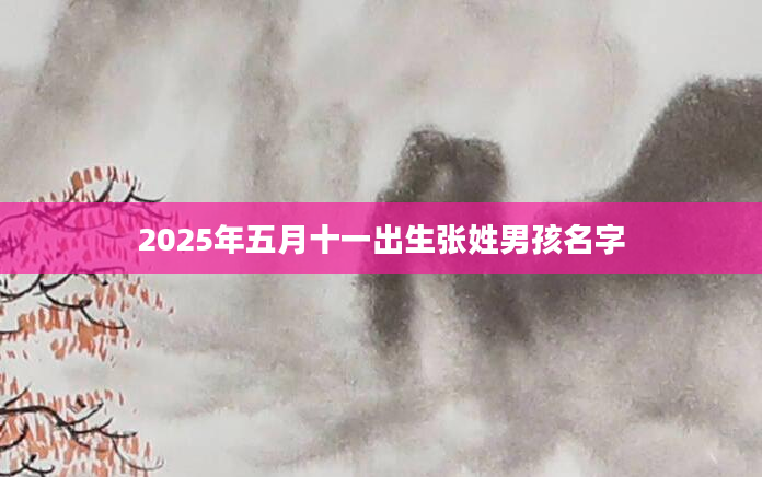 2025年五月十一出生张姓男孩名字