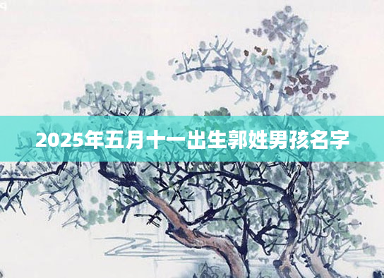 2025年五月十一出生郭姓男孩名字