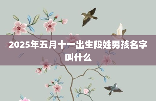 2025年五月十一出生段姓男孩名字叫什么