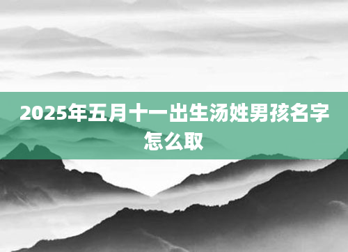 2025年五月十一出生汤姓男孩名字怎么取