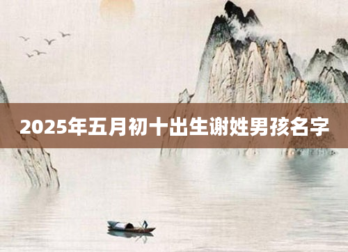 2025年五月初十出生谢姓男孩名字