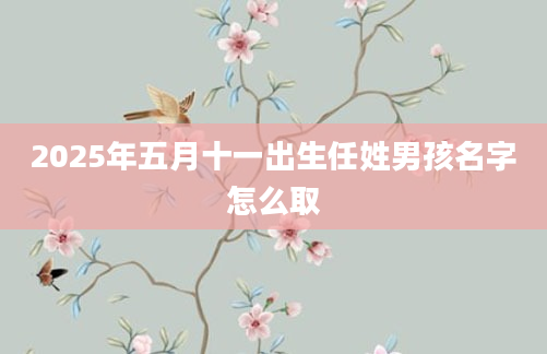 2025年五月十一出生任姓男孩名字怎么取