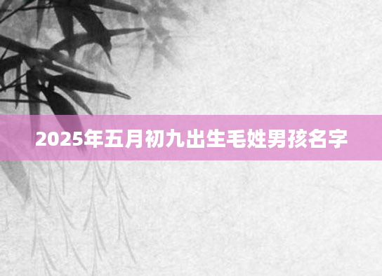 2025年五月初九出生毛姓男孩名字