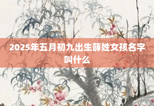 2025年五月初九出生薛姓女孩名字叫什么