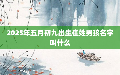 2025年五月初九出生崔姓男孩名字叫什么