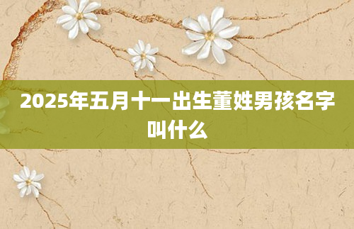 2025年五月十一出生董姓男孩名字叫什么