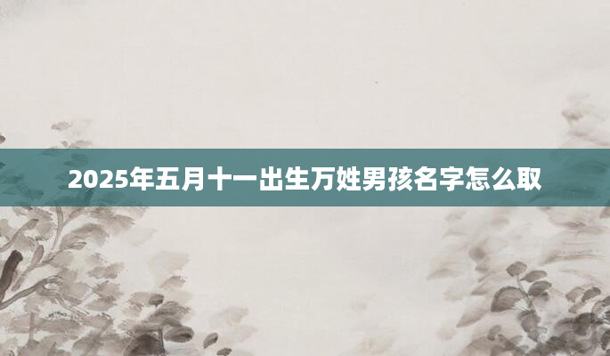 2025年五月十一出生万姓男孩名字怎么取