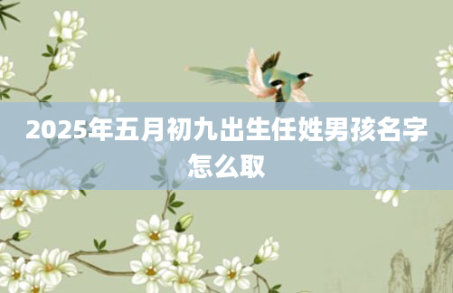 2025年五月初九出生任姓男孩名字怎么取