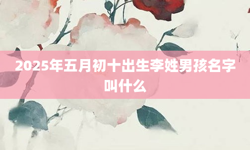 2025年五月初十出生李姓男孩名字叫什么