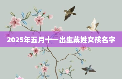 2025年五月十一出生戴姓女孩名字