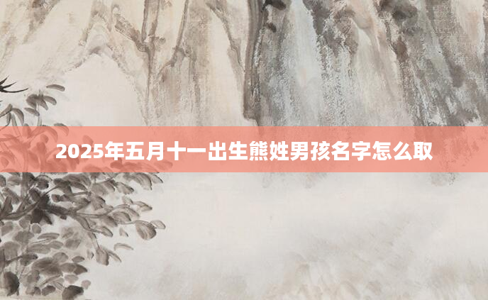 2025年五月十一出生熊姓男孩名字怎么取