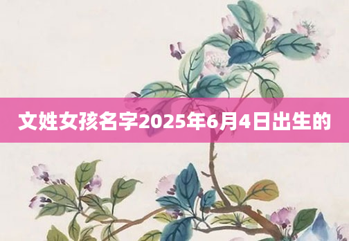 文姓女孩名字2025年6月4日出生的