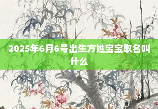 2025年6月6号出生方姓宝宝取名叫什么
