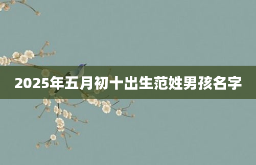 2025年五月初十出生范姓男孩名字