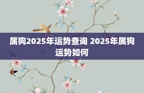 属狗2025年运势查询 2025年属狗运势如何