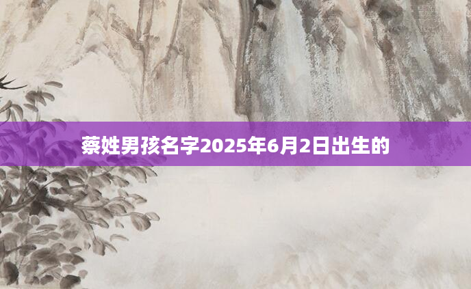 蔡姓男孩名字2025年6月2日出生的