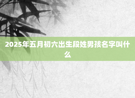 2025年五月初六出生段姓男孩名字叫什么