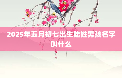 2025年五月初七出生陆姓男孩名字叫什么