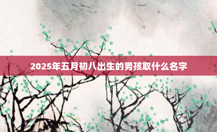 2025年五月初八出生的男孩取什么名字