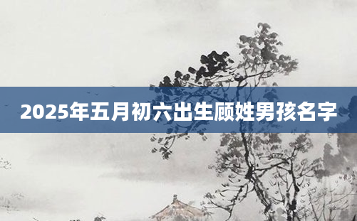 2025年五月初六出生顾姓男孩名字