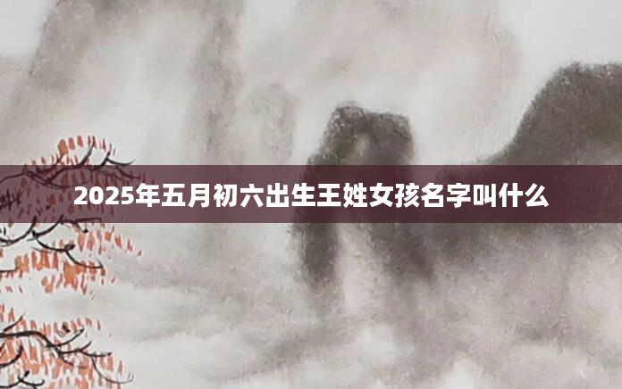 2025年五月初六出生王姓女孩名字叫什么